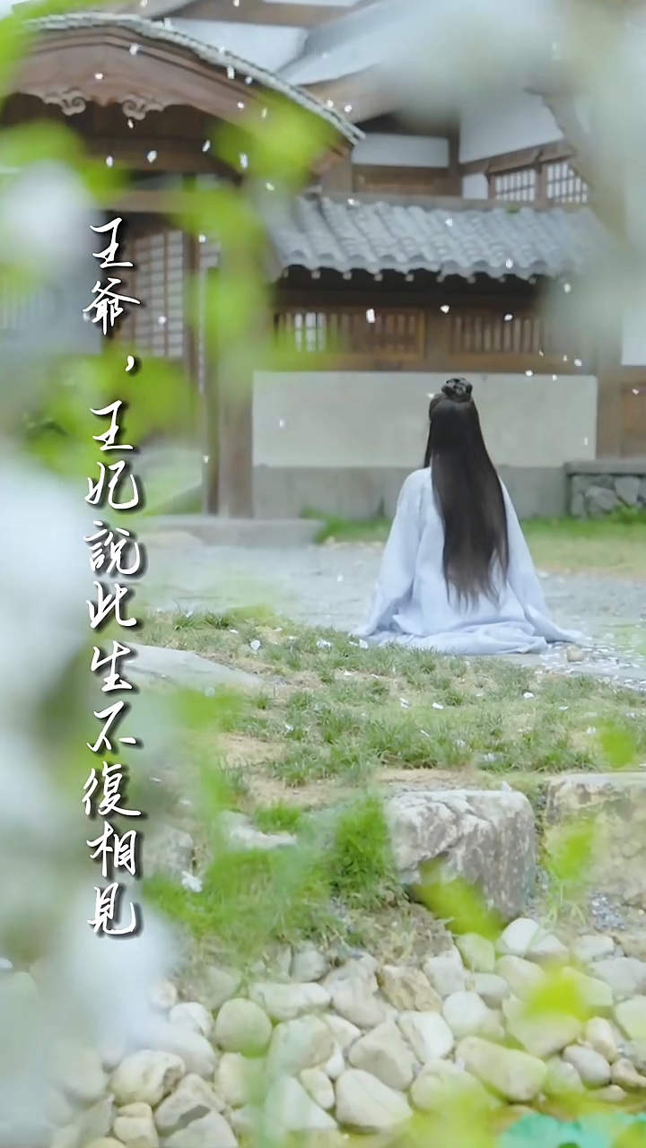 王爺，王妃說(shuō)此生不復(fù)相見(jiàn)(全集)