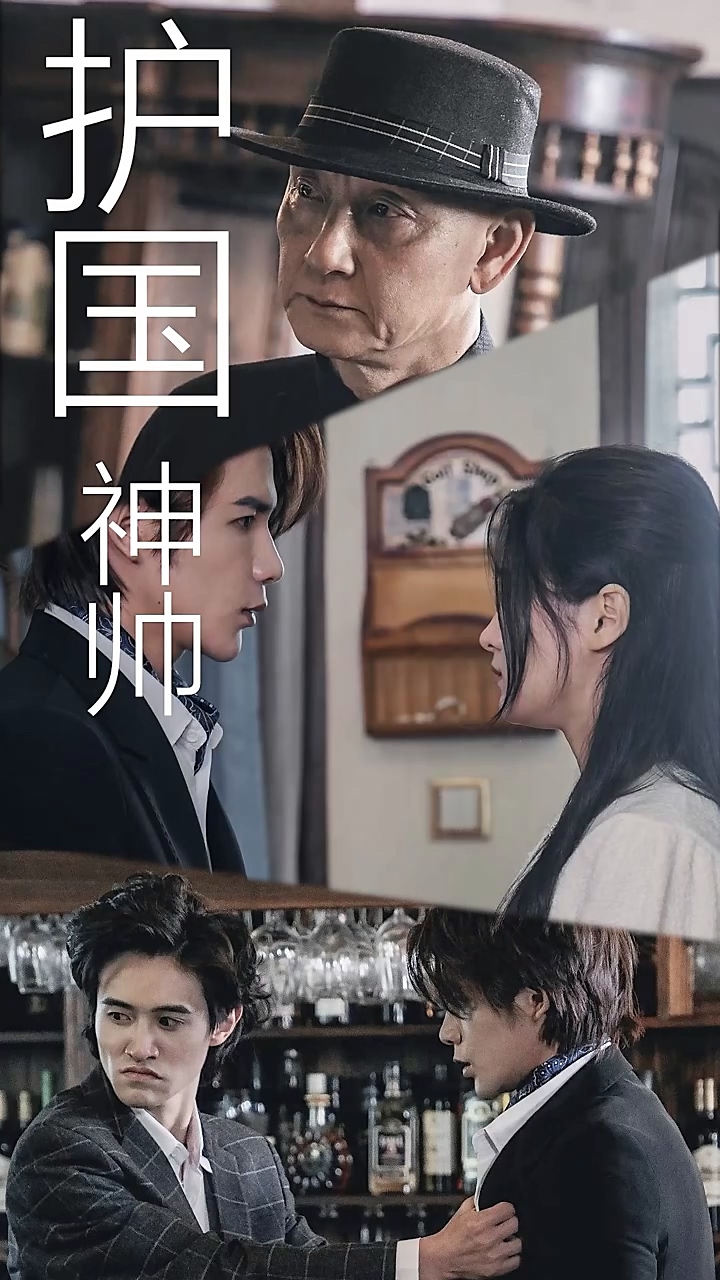 護(hù)國(guó)龍帥(全集)