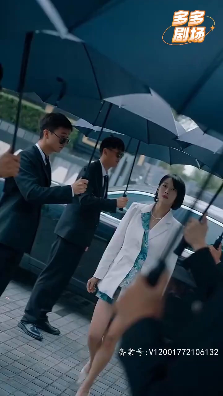 聞先生的馬甲又掉了(全集)