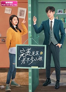 完美先生和差不多小姐越南語版(全集)