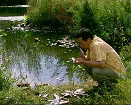 來福，來福(全集)