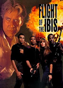 無敵雄鷹(全集)