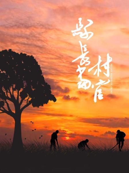 縣長當村官(全集)