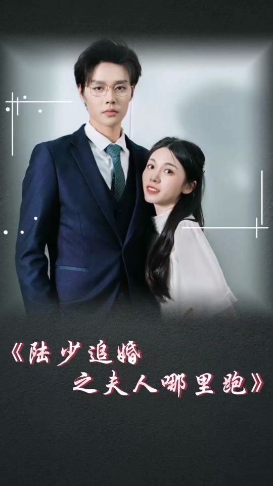 陸少追婚之夫人哪里跑全集(大結(jié)局)