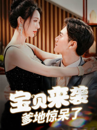 寶貝來襲，爹地驚呆了(全集)