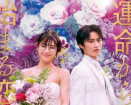 命中注定我愛(ài)你2020日版(全集)