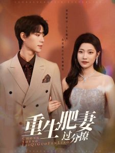 重生肥妻過分撩(全集)