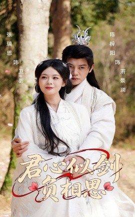 君心似劍負相思(全集)