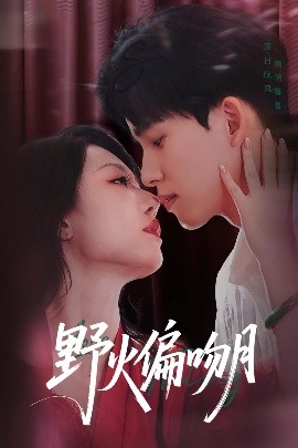 野火偏吻月(全集)