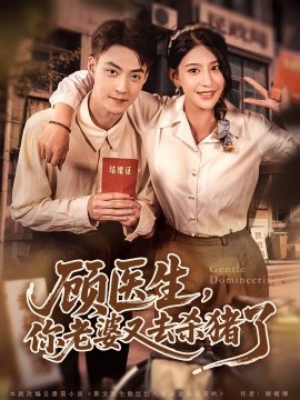 顧醫(yī)生，你老婆又去殺豬了(全集)