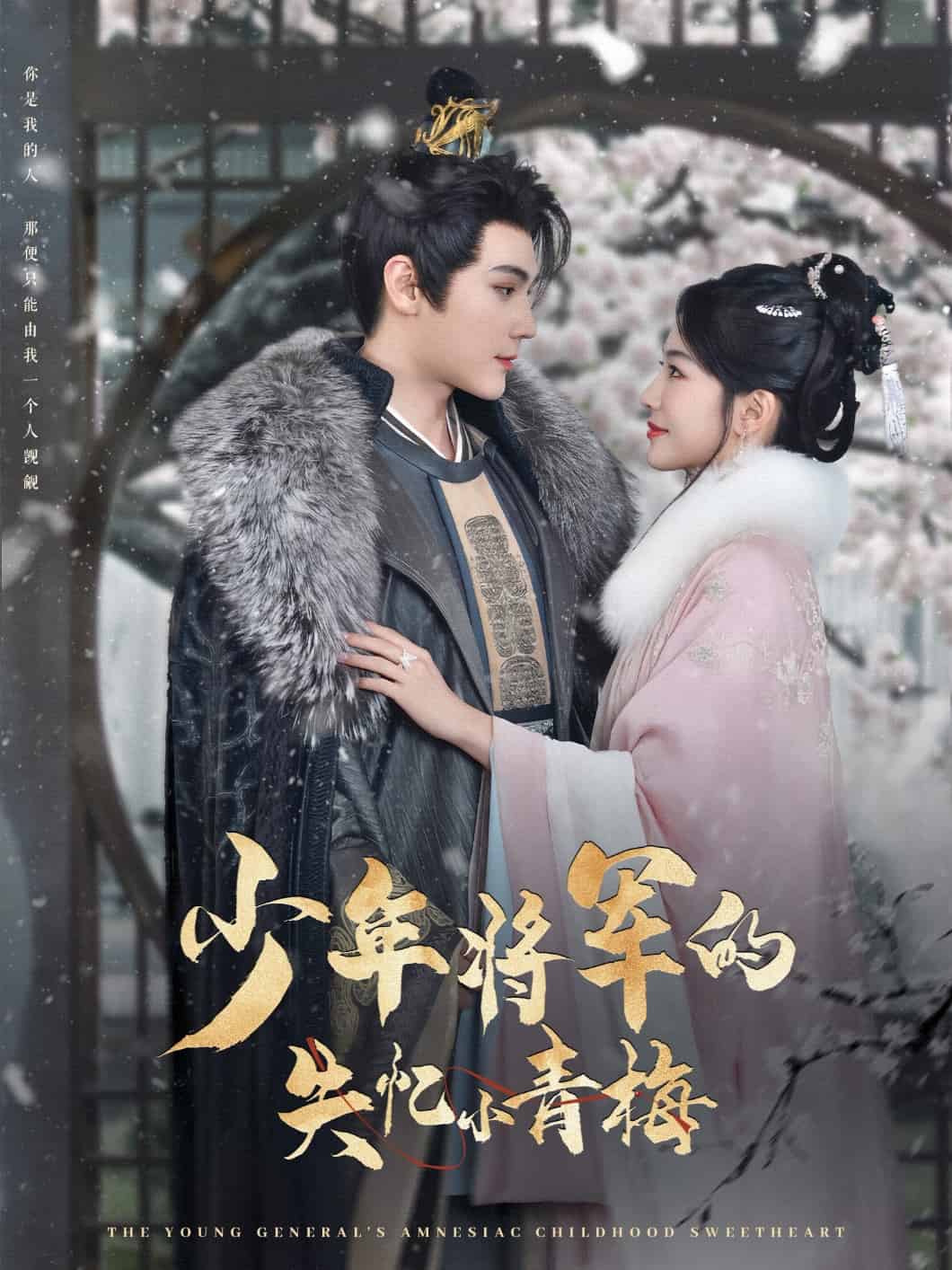 少年將軍的失憶小青梅(全集)