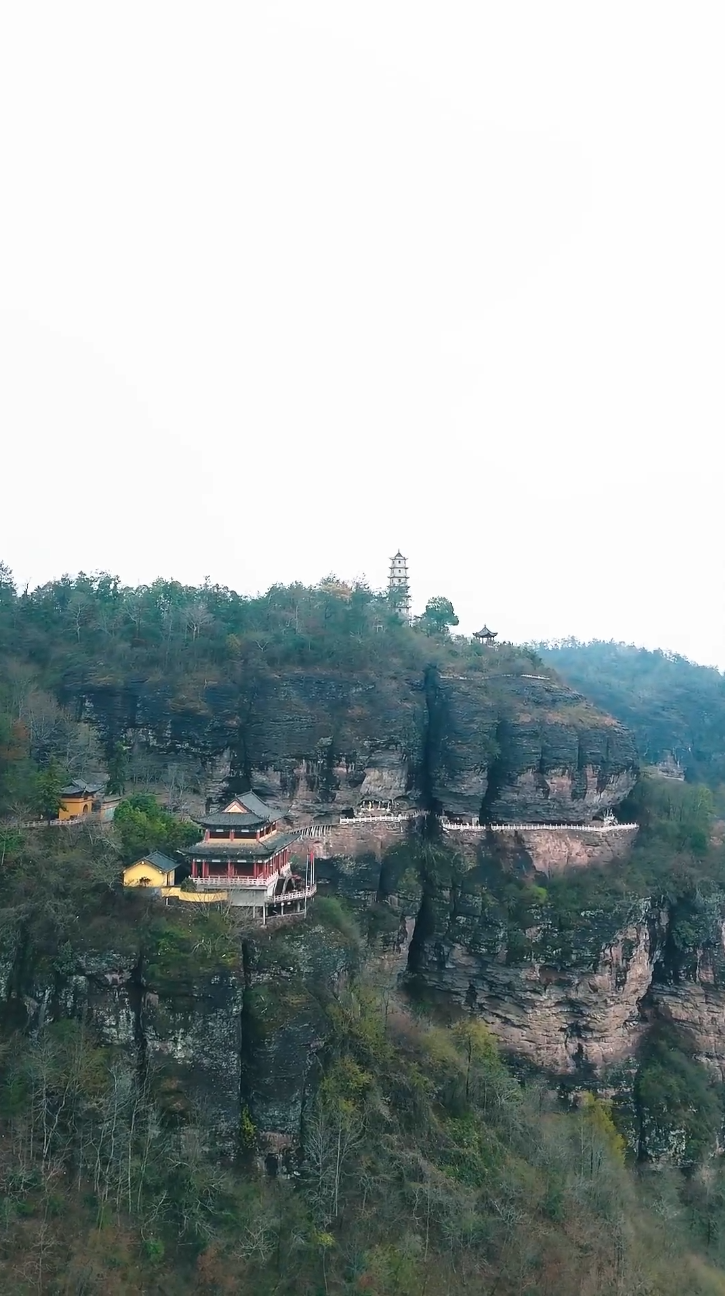 功夫萌寶神算爹(全集)