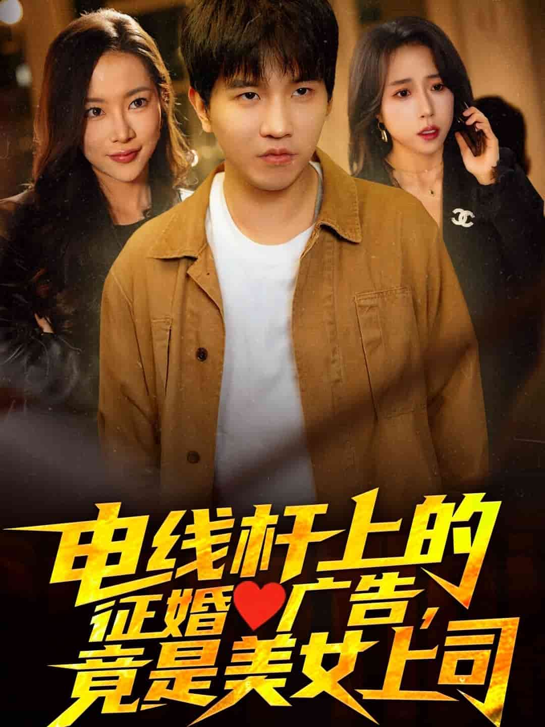 電線桿上的征婚廣告，竟是美女上司(全集)