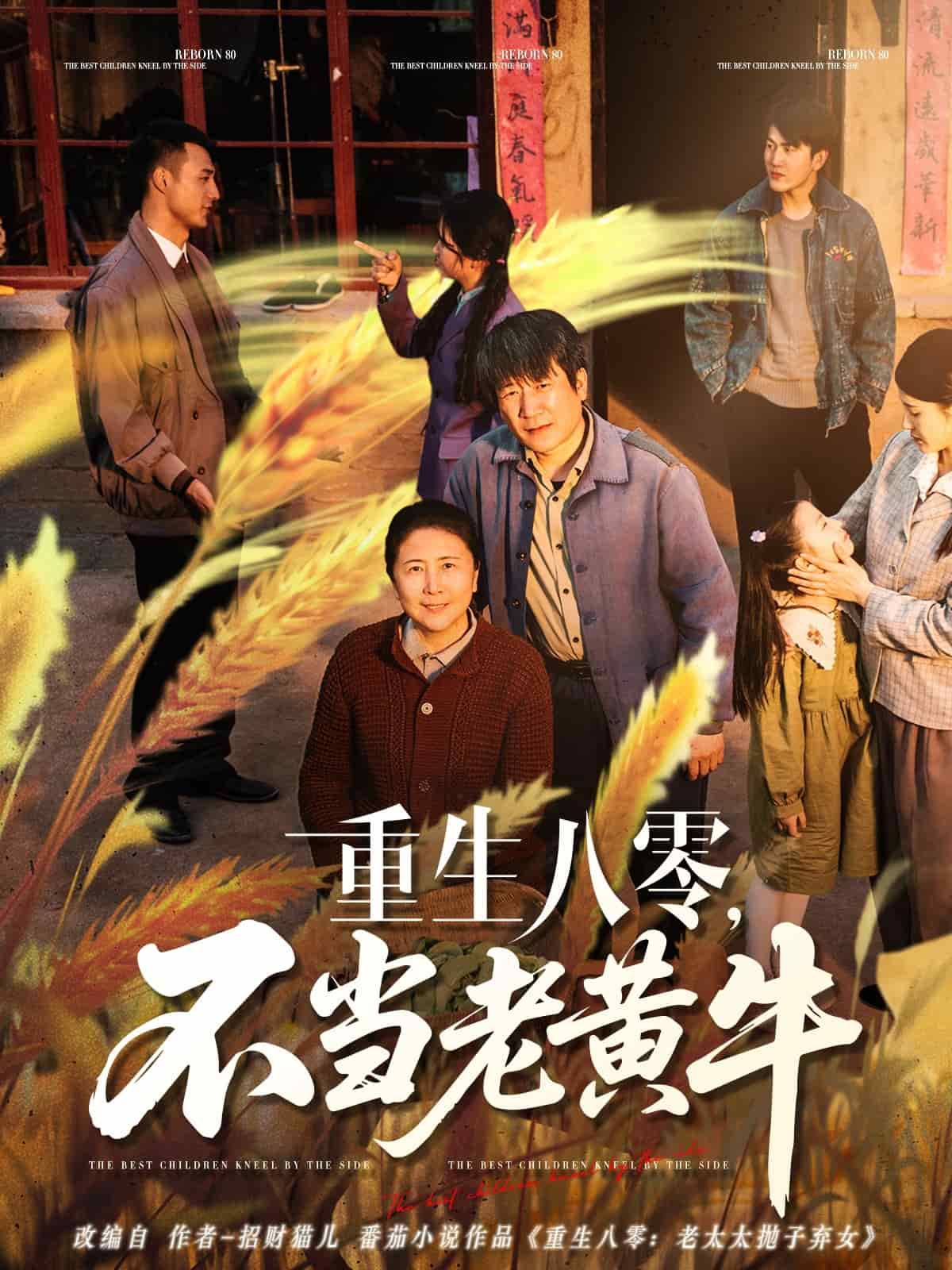 重生八零，不當(dāng)老黃牛(全集)