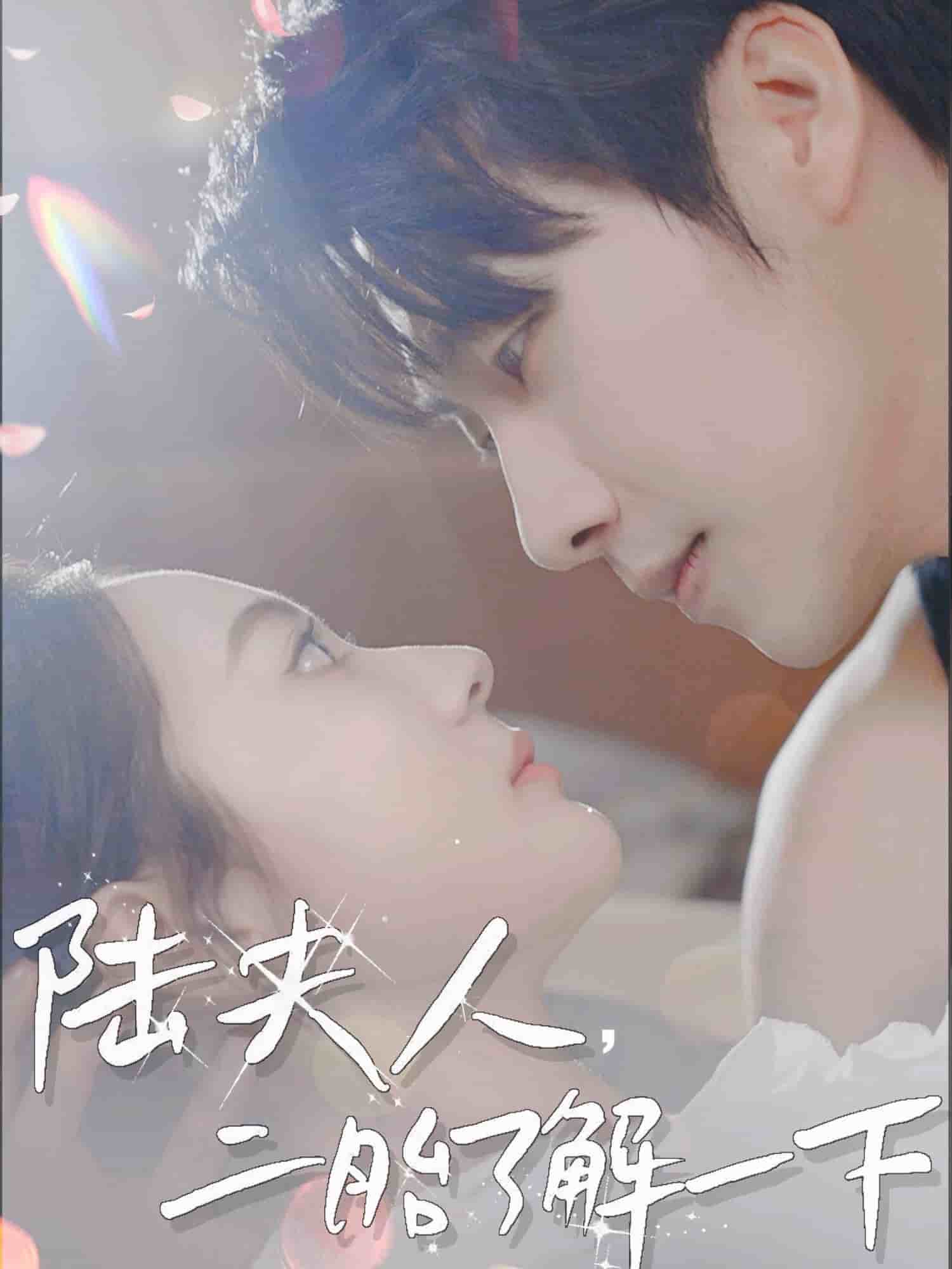 陸夫人，二胎了解一下(全集)