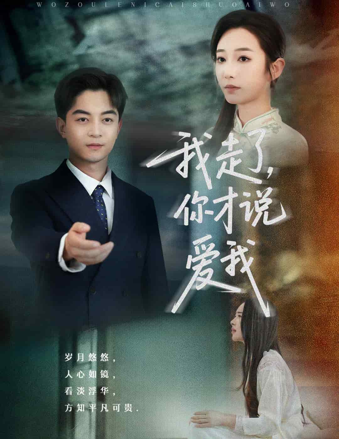 我走了你才說愛我(全集)