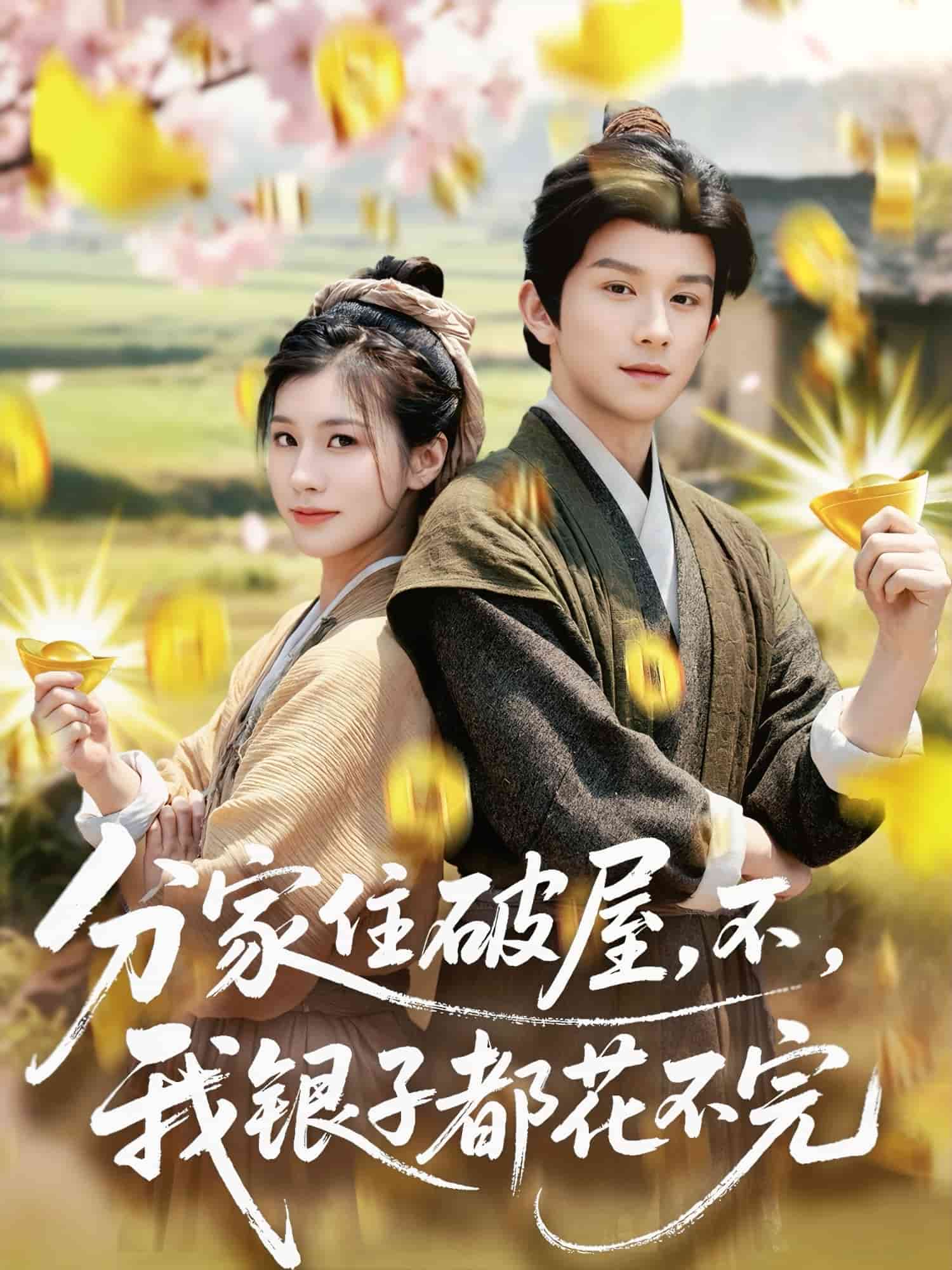 分家住破屋，不，我銀子都花不完(全集)