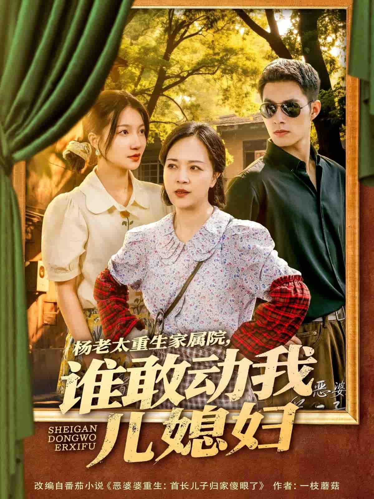 楊老太重生家屬院，誰(shuí)敢動(dòng)我兒媳婦(全集)