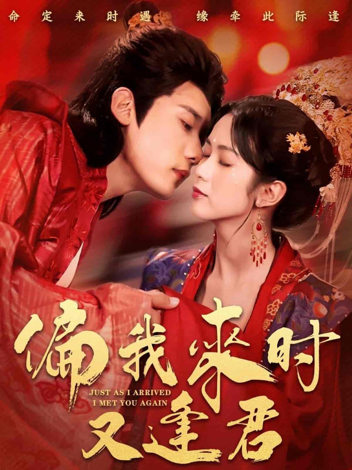 偏我來時(shí)又逢君(全集)