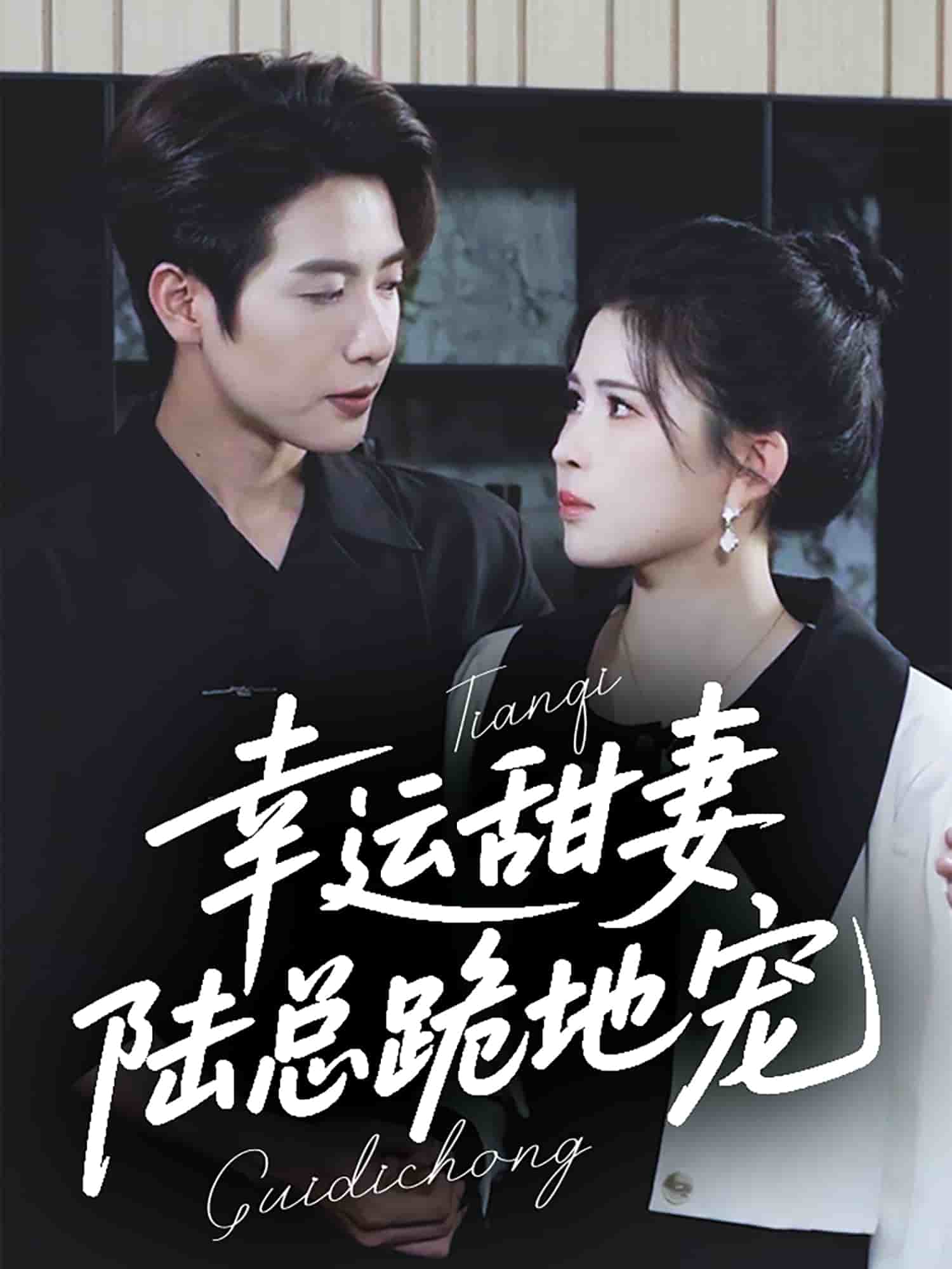 幸運甜妻，陸總跪地寵(全集)