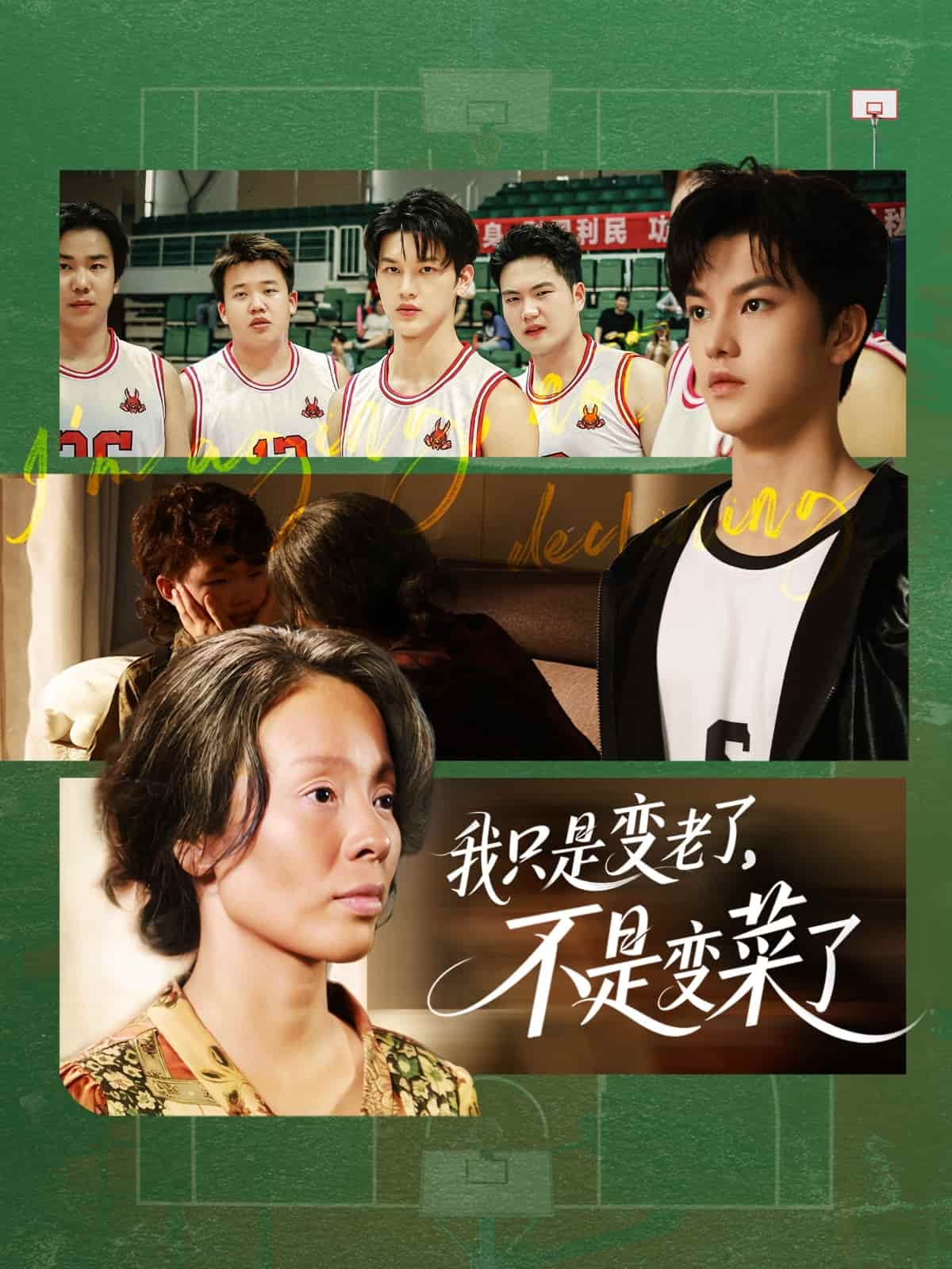 我只是變老了，不是變菜了(全集)