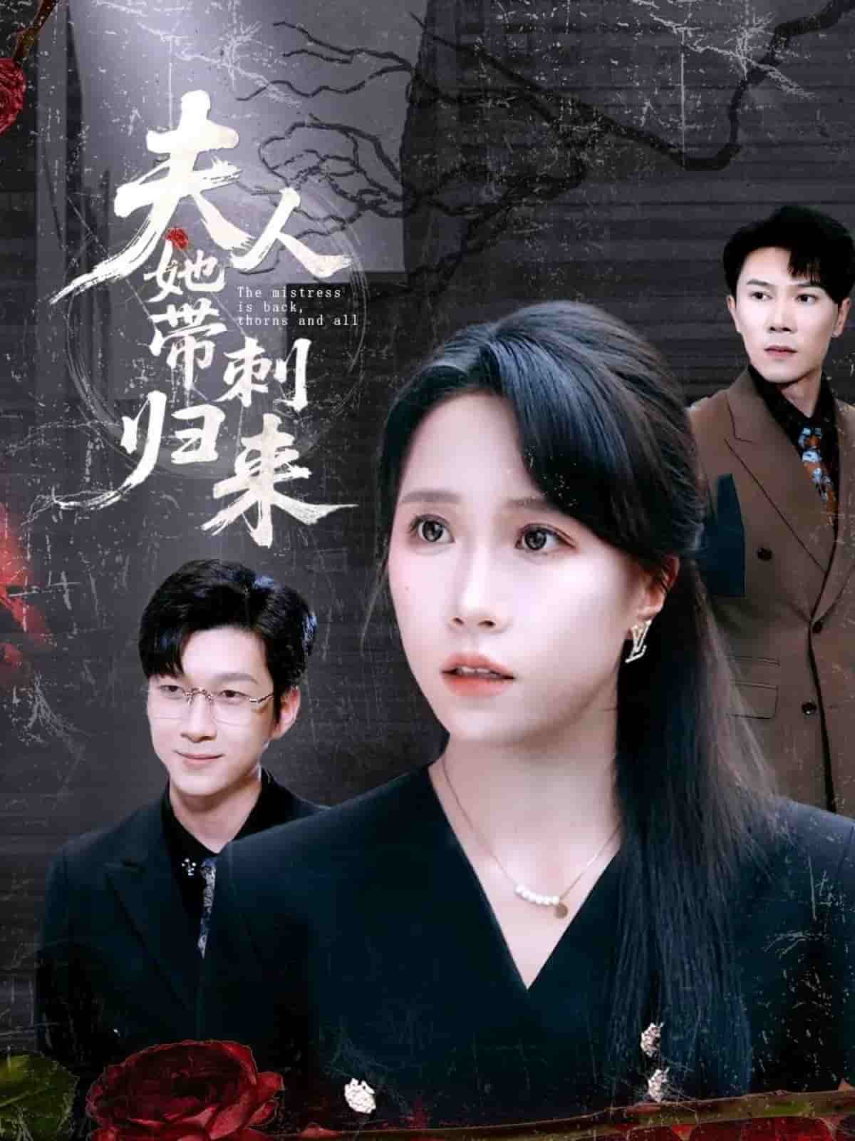 夫人她帶刺歸來(lái)(全集)