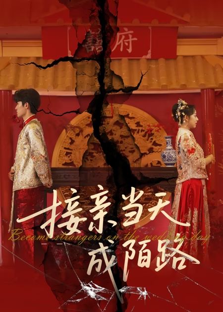 接親當(dāng)天成陌路(全集)