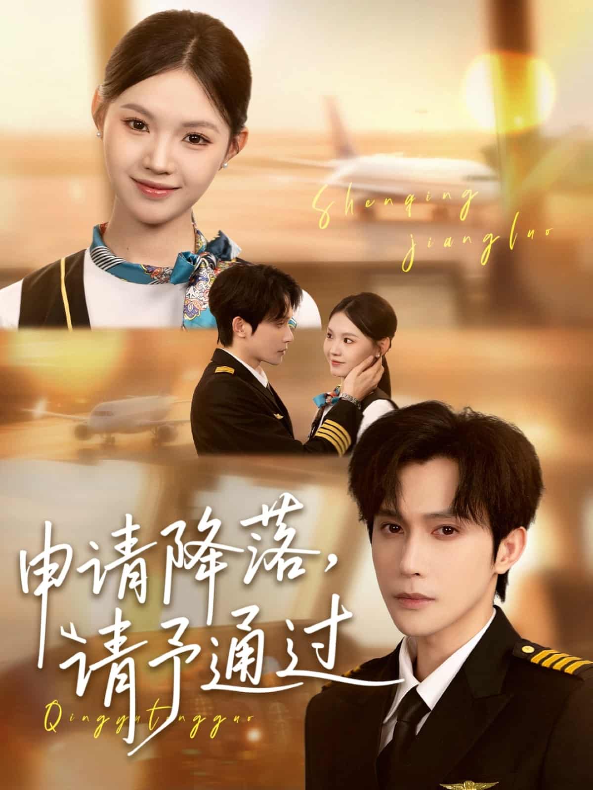 申請(qǐng)降落請(qǐng)予通過(guò)(全集)