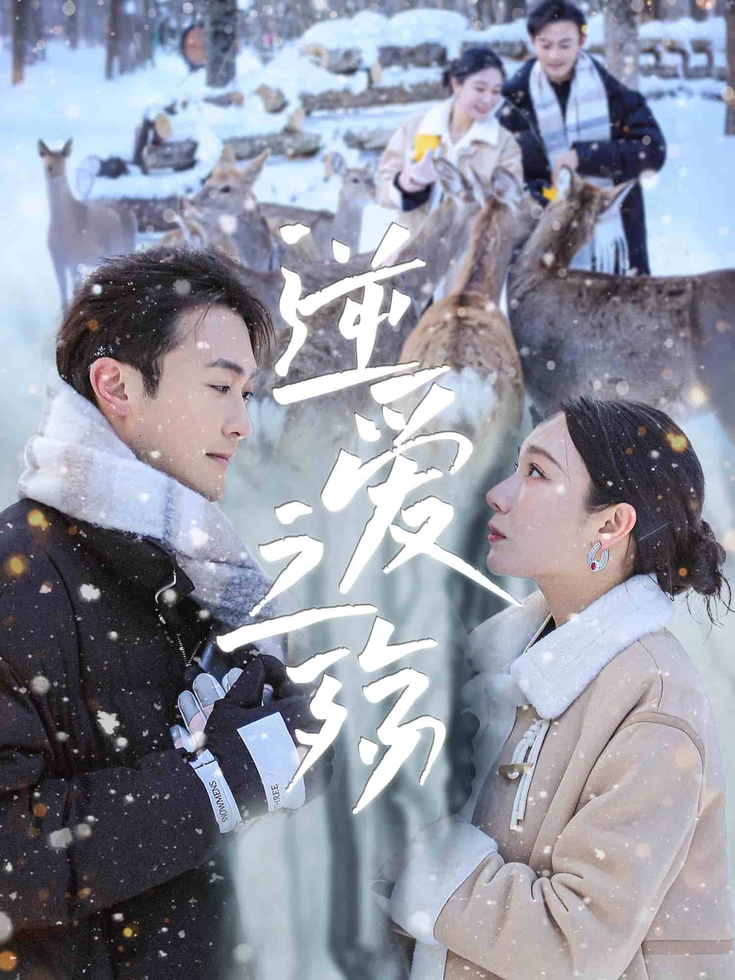 逆愛(ài)之殤(全集)