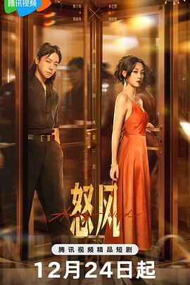 怒風(fēng)(全集)