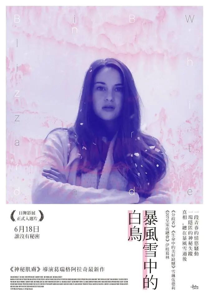 暴風(fēng)雪中的白鳥