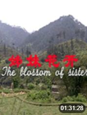 姊妹花開