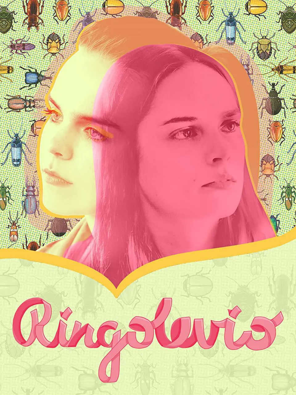 北上見(jiàn)家長(zhǎng)