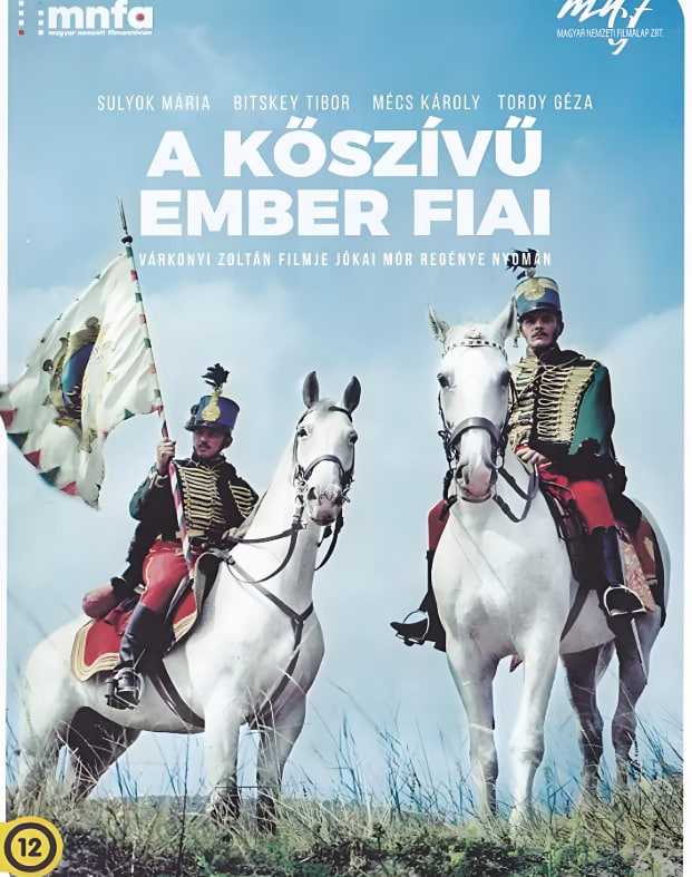 戰(zhàn)士與旗幟