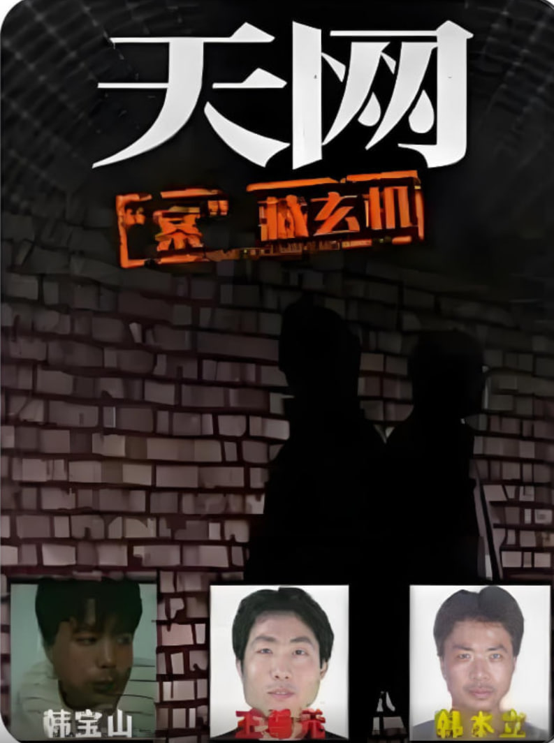 天網(wǎng)：“案”藏玄機(jī)