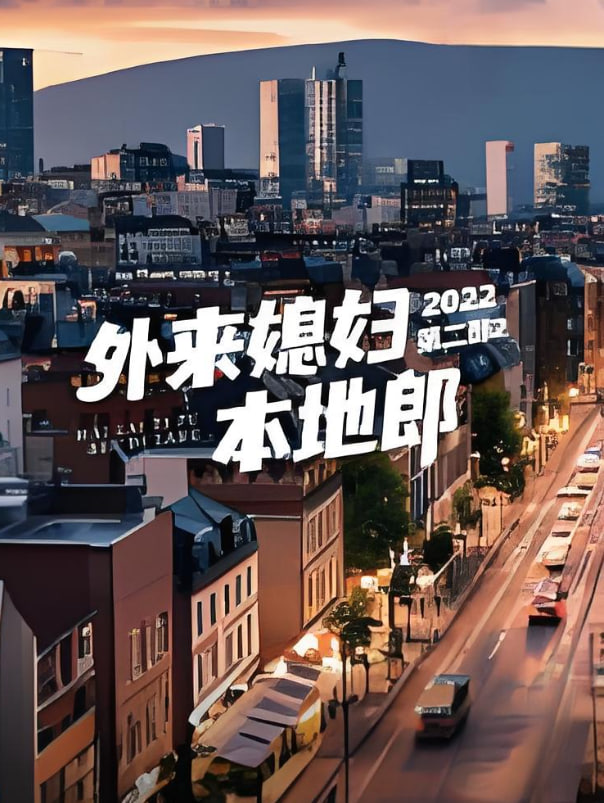 外來媳婦本地郎 第二部(全集)