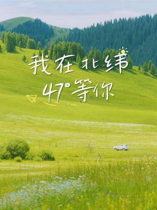 我在北緯47°等你(全集)